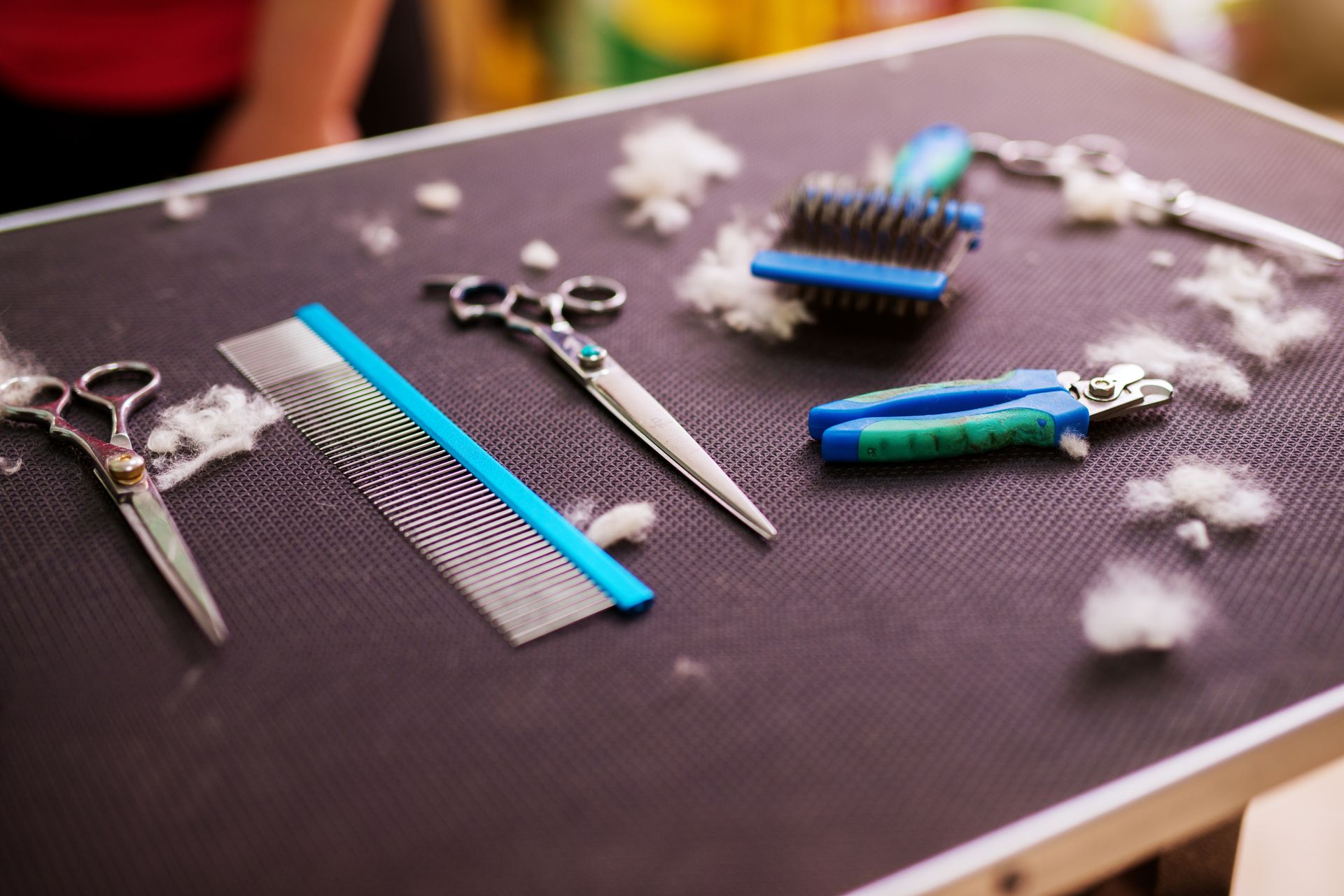 Expert Pet Grooming Shreveport, LA Paradise Pet Grooming