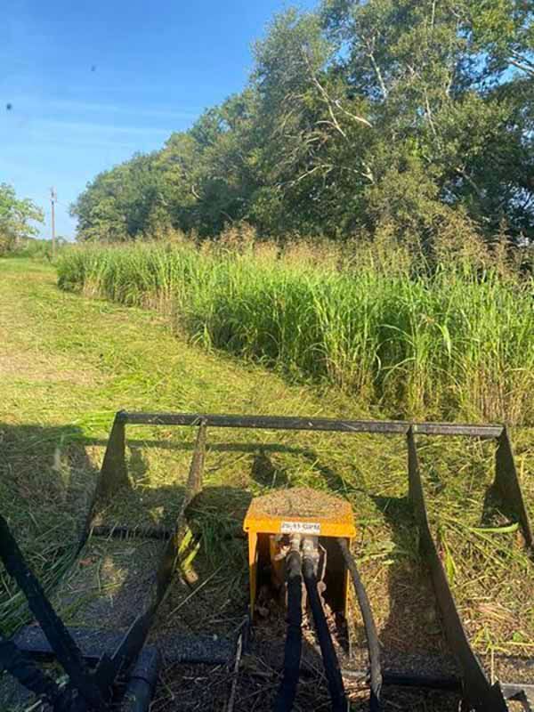 A tractor is cutting grass in a field with trees in the background.