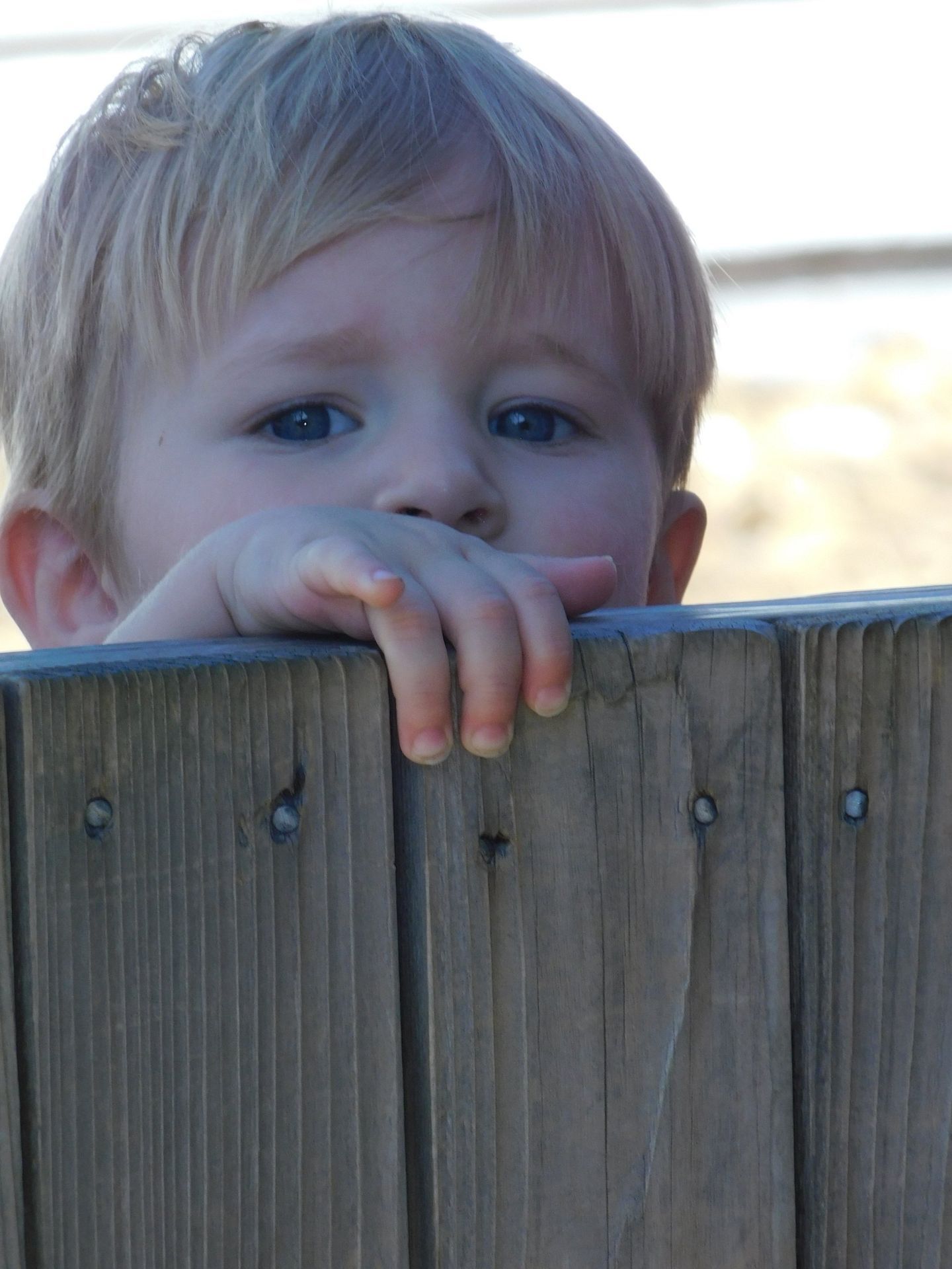 Blond child peering over a wooden fenc