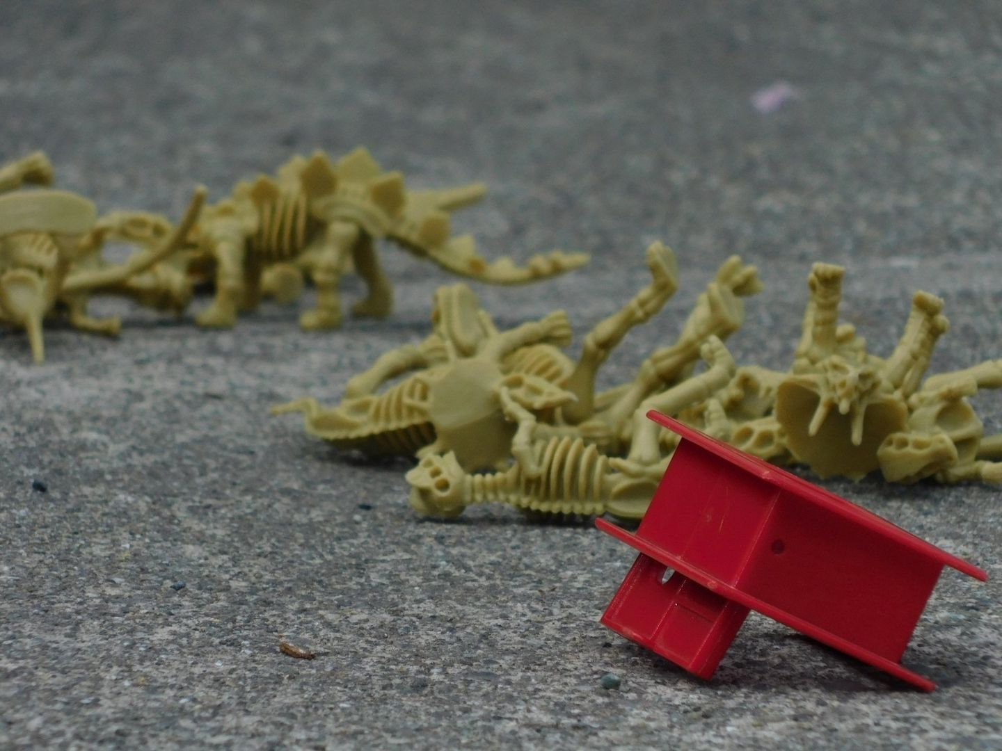 Tan dinosaur skeletons scattered on gray surface with a small red rectangular block