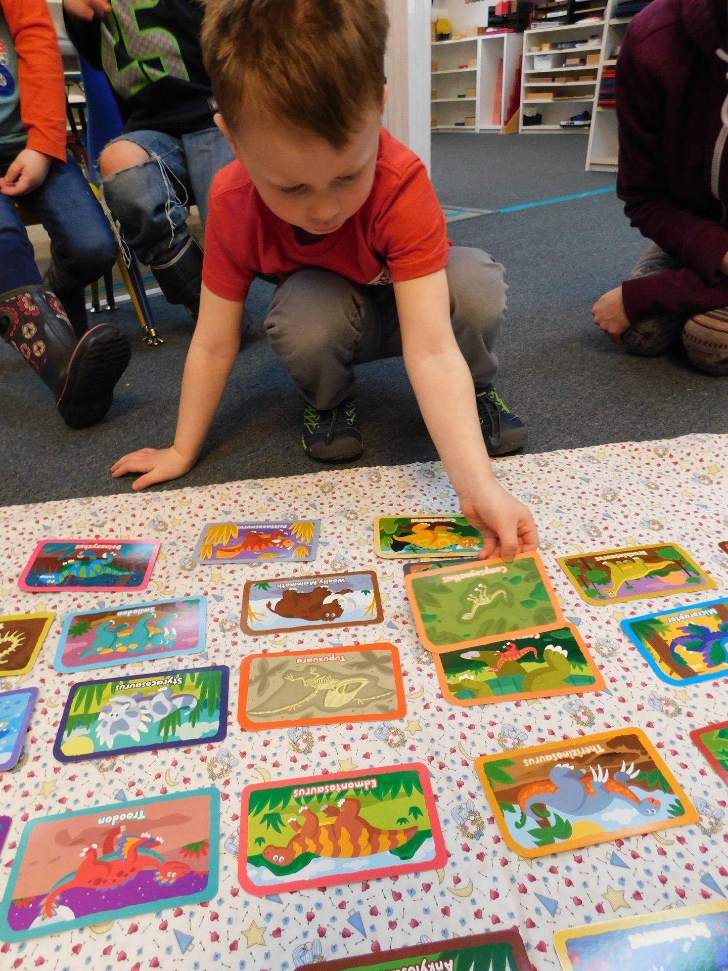 A young boy crouches on a mat sorting colorful animal picture cards in a classroom