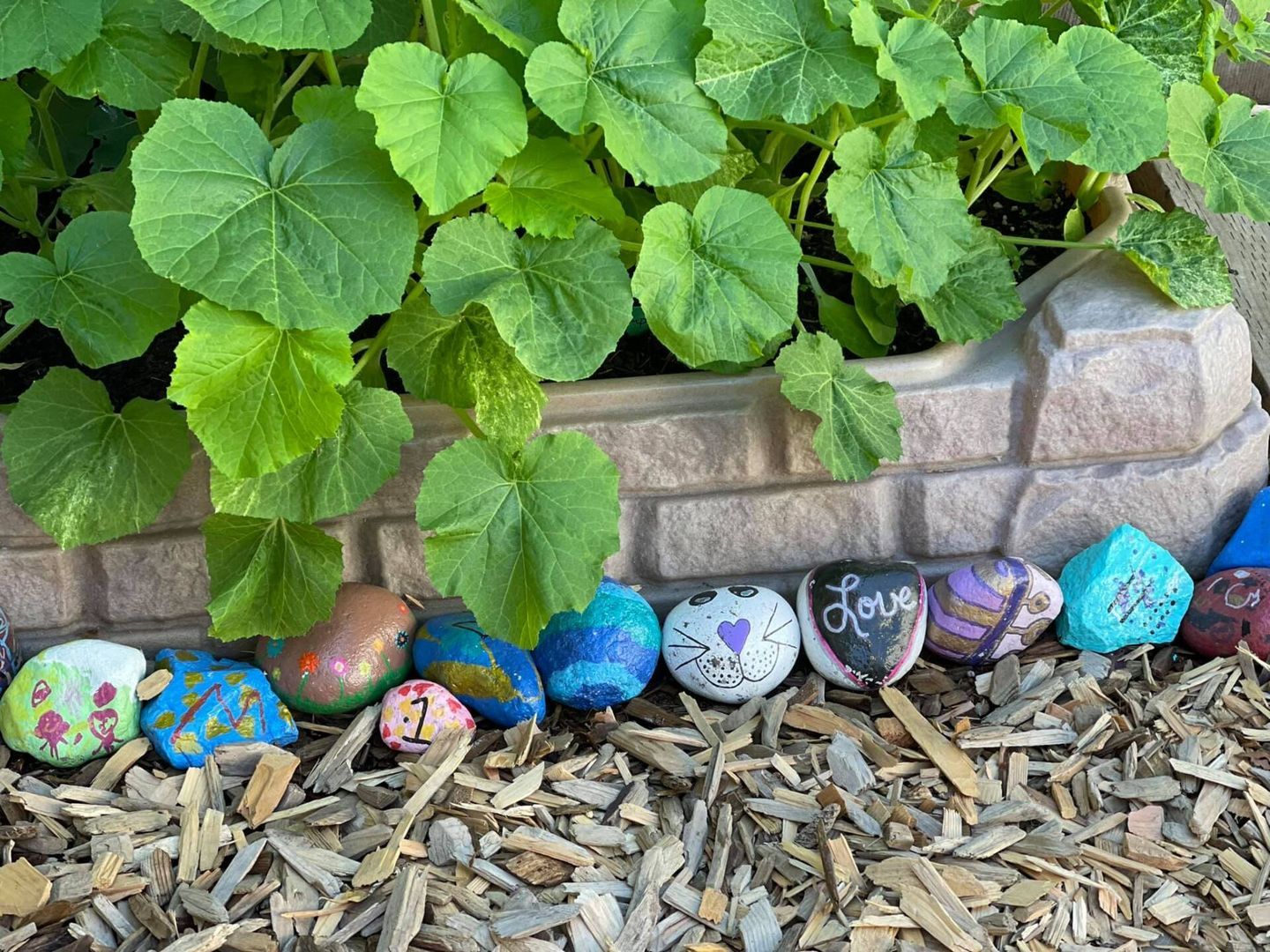Painted rocks lined up by a brick wall and plants with green leaves, resting on wood chips.