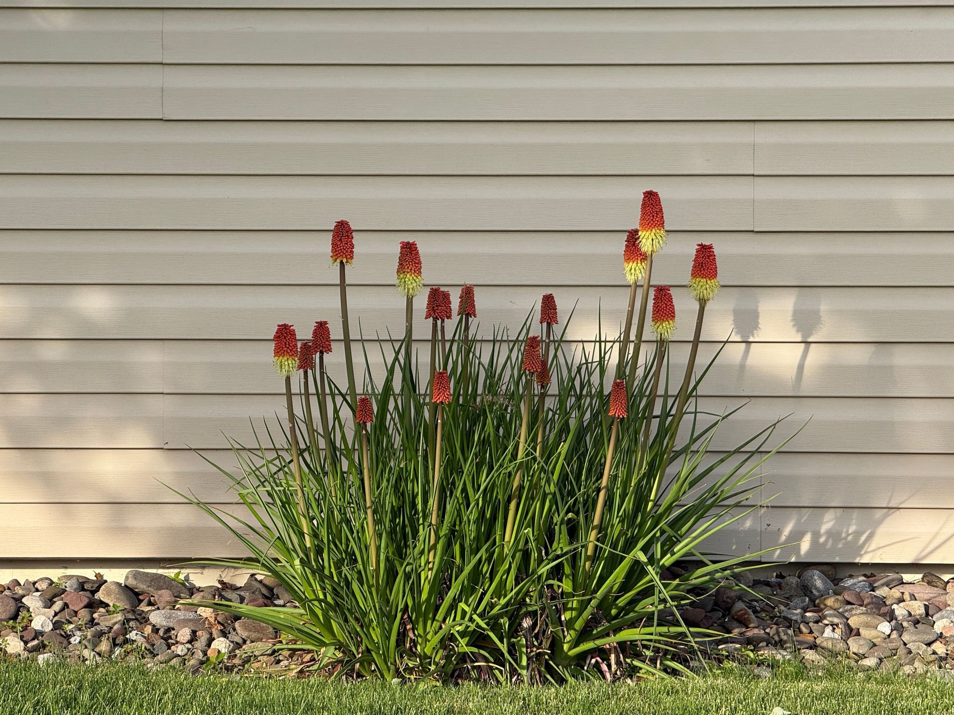 siding with flowers in front