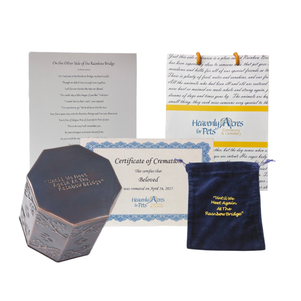Ceremony award set with certificates, a blue thank-you note, and a dark navy gift pouch