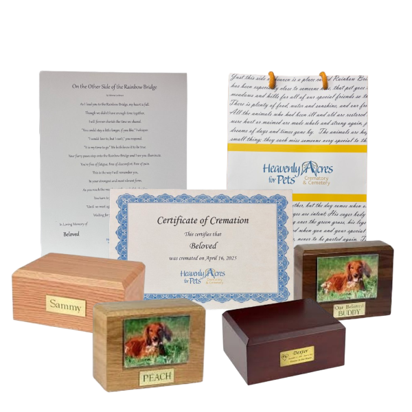 Memorial pet tribute kit with certificates, letter, and wooden keepsake boxes featuring dog photos