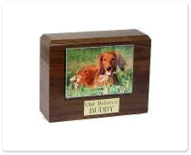 Wooden memorial box with a dog photo and plaque reading “Our Beloved BUDDY”
