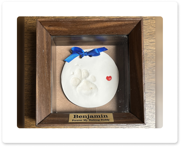 Wooden display box with a white pawprint keepsake tied with a blue ribbon and a small red heart