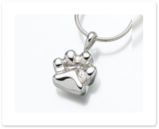 Silver paw print pendant on a chain