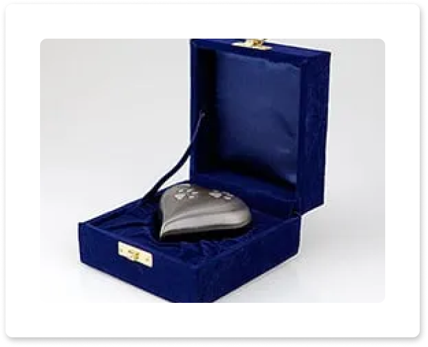 Blue velvet case holding a silver computer mouse with cable, open lid displayed