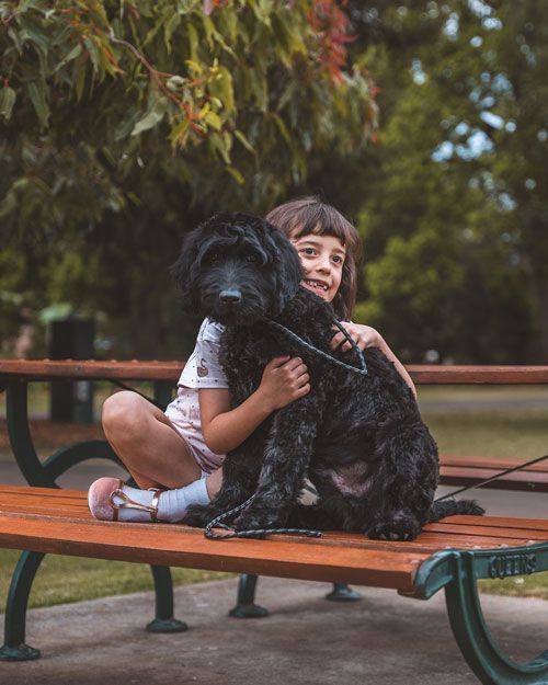 THERAPY DOG IN PARK