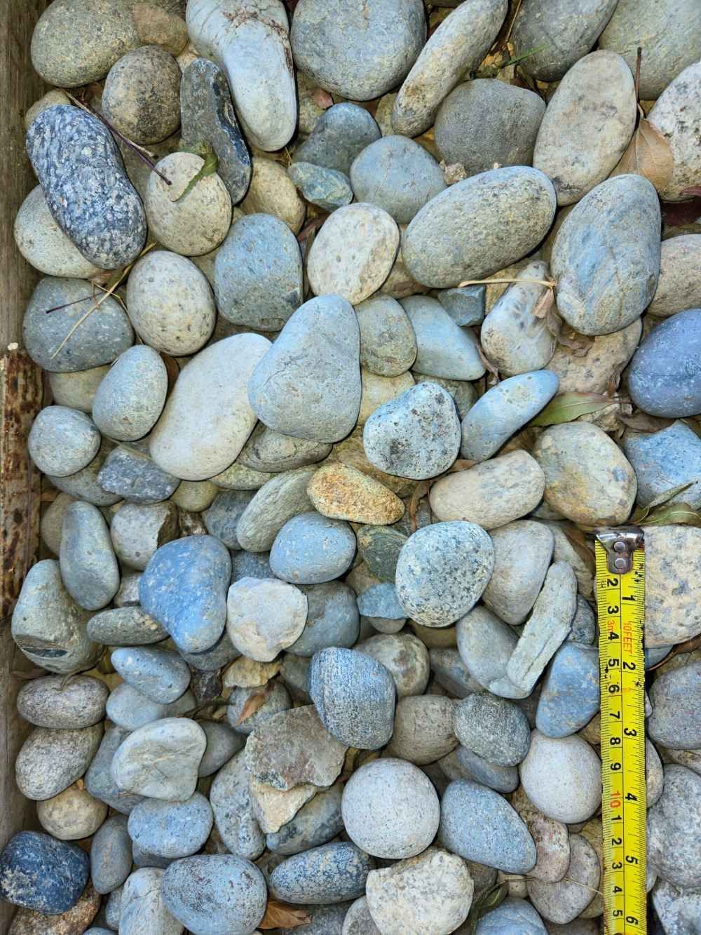 Pebbles and small rocks on the ground, with a yellow measuring tape along the right edge.