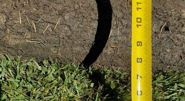 Yellow measuring tape beside a curved black pipe in soil, with green grass at the bottom edge.