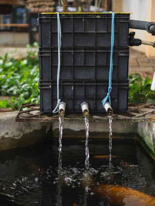 Black water tank with three hoses pouring into a pond, one blue strap visible.
