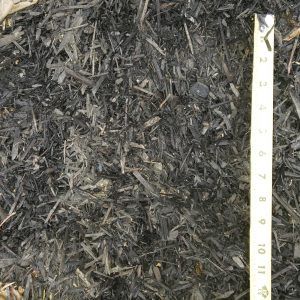 Close-up of dark mulch or soil with a vertical measuring ruler on the right edge