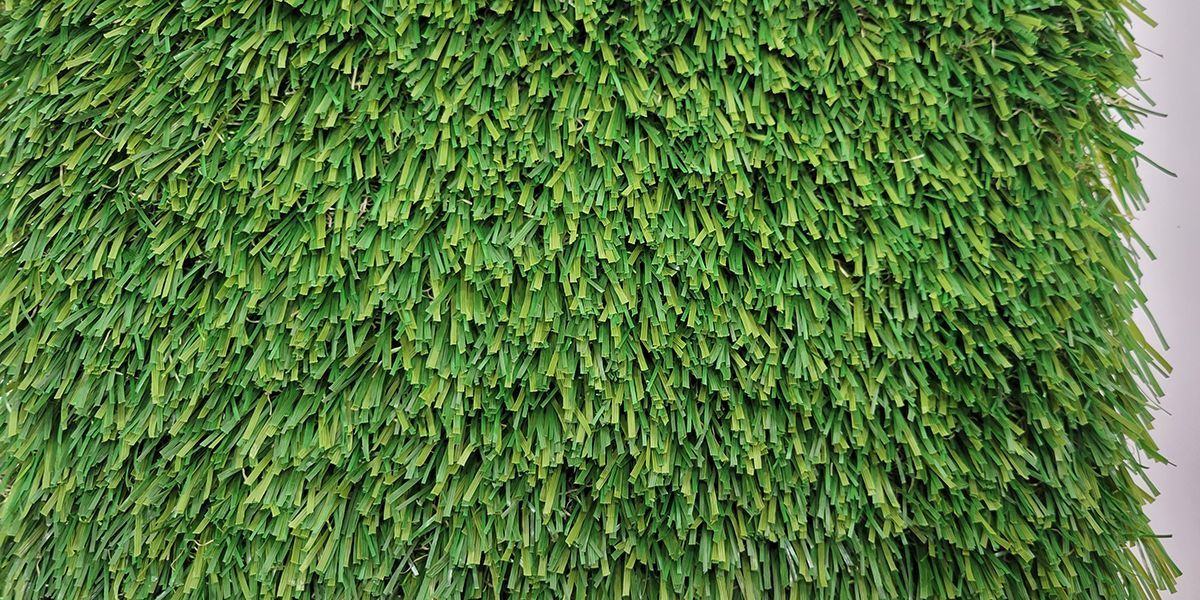 Dense green foliage covering the frame in a textured, leafy pattern