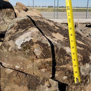 Large rock beside a yellow measuring stick at an outdoor site, with a chain-link fence in the background