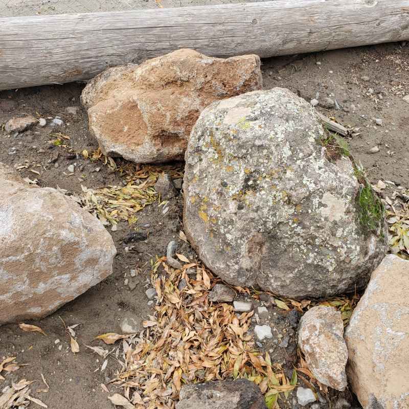 Several large rocks and scattered dry leaves on dirt beside a log.
