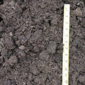 Close-up of dark soil beside a white measuring ruler.