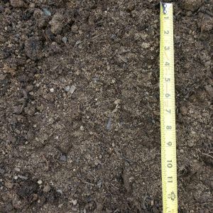 Close-up of dark soil beside a measuring tape showing depth in centimeters.