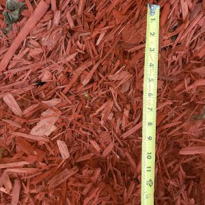 Red mulch with a yellow measuring tape showing depth in inches