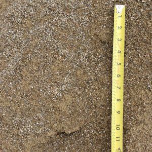 Close-up of brown gravelly soil beside a yellow measuring tape showing inches.