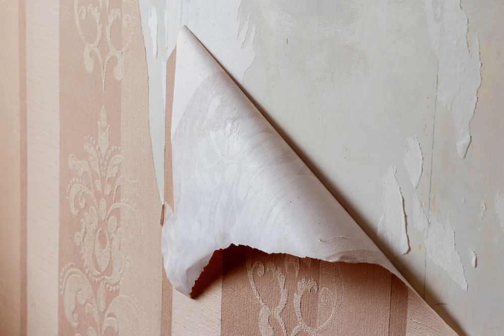 A piece of light-pink, patterned wallpaper is peeling away from a plain, off-white wall.