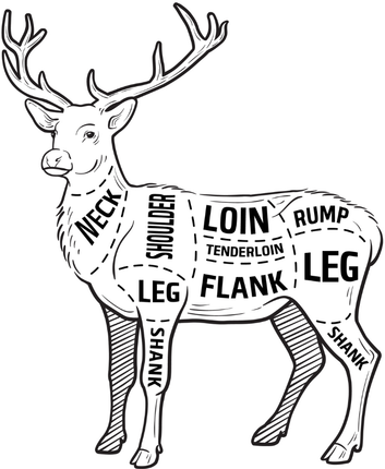 Diagram of a deer with labeled cuts of meat: neck, shoulder, loin, tenderloin, flank, rump, leg, and shank.