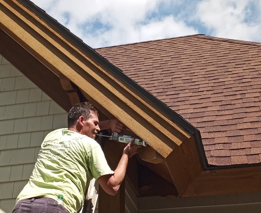 Pest Control in New Hampshire Safe For Humans, Pets & The Environment