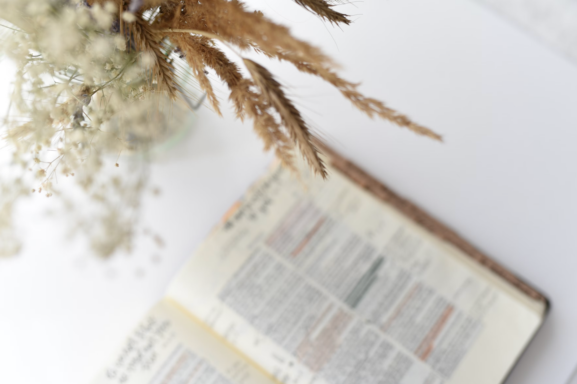 A book is sitting on a table next to a vase of dried flowers.
