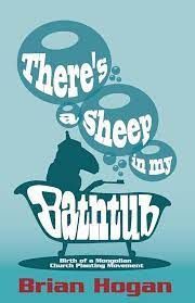sheep in my