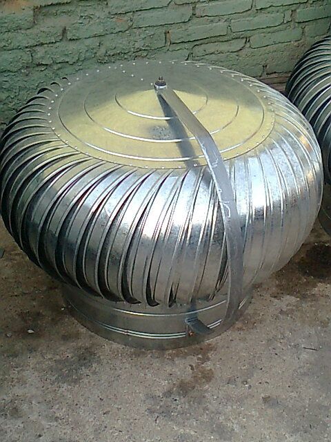 Zingueria LF