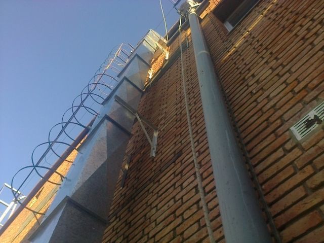 Zingueria LF