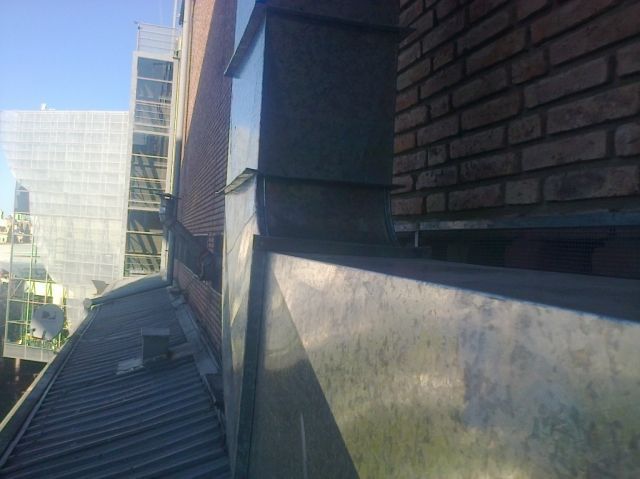 Zingueria LF
