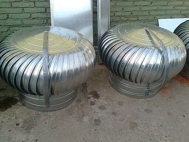 Zingueria LF