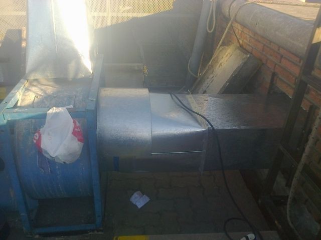 Zingueria LF