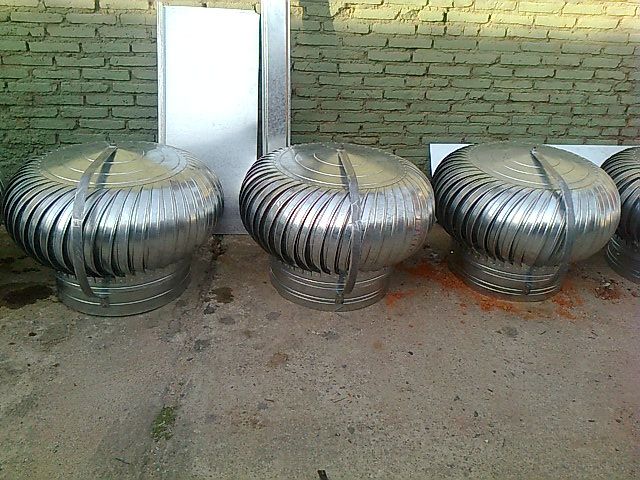 Zingueria LF