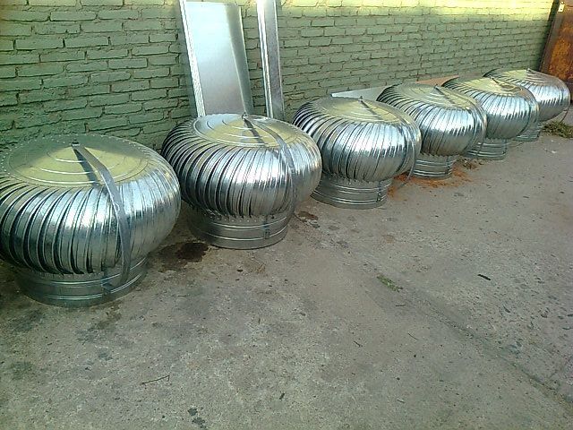 Zingueria LF