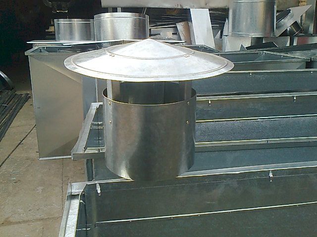 Zingueria LF