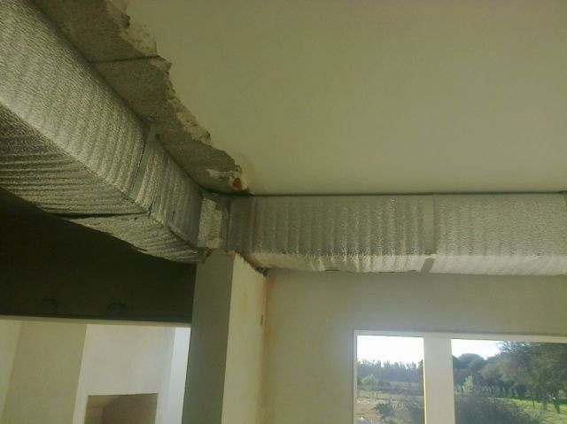 Zingueria LF