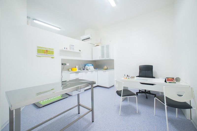 veterinario temesa
