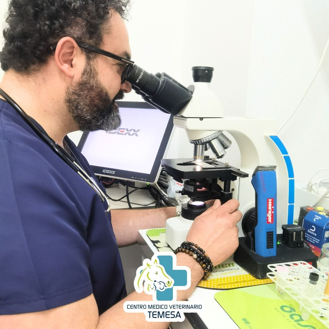 laboratorio analisi