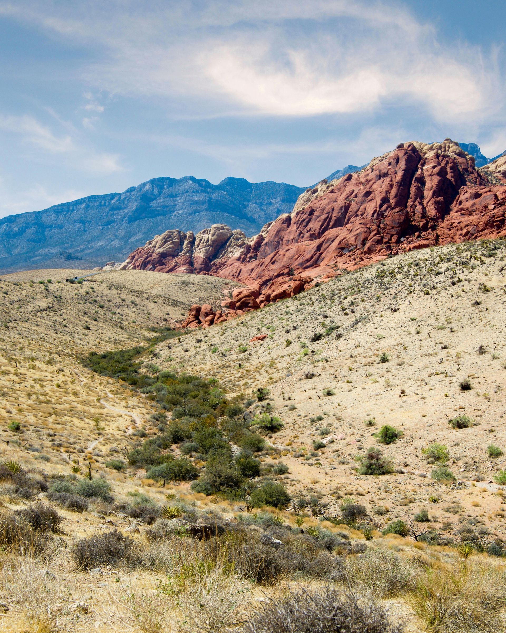 A desert landscape with mountains in the background