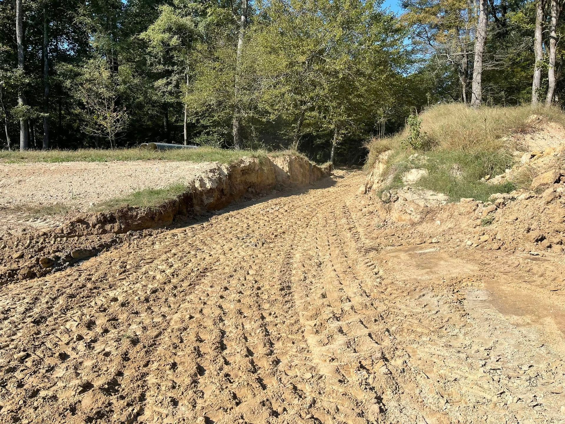A dirt path with tire tracks leads toward trees, bordered by an earthen embankment on a bright, sunny day.