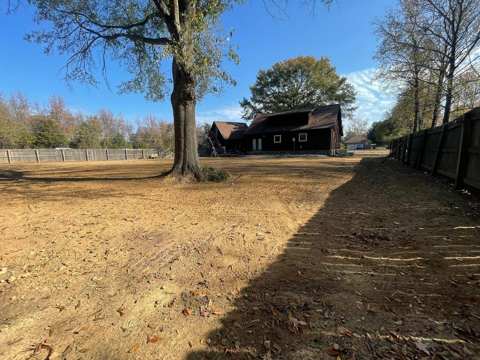 A large tree stands in a dry, grassy yard leading toward a dark, wooden barn-style house under a bright blue sky.