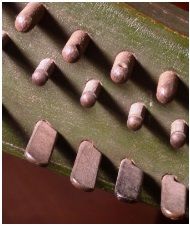 Een close-up van bouten op een muziekinstrument