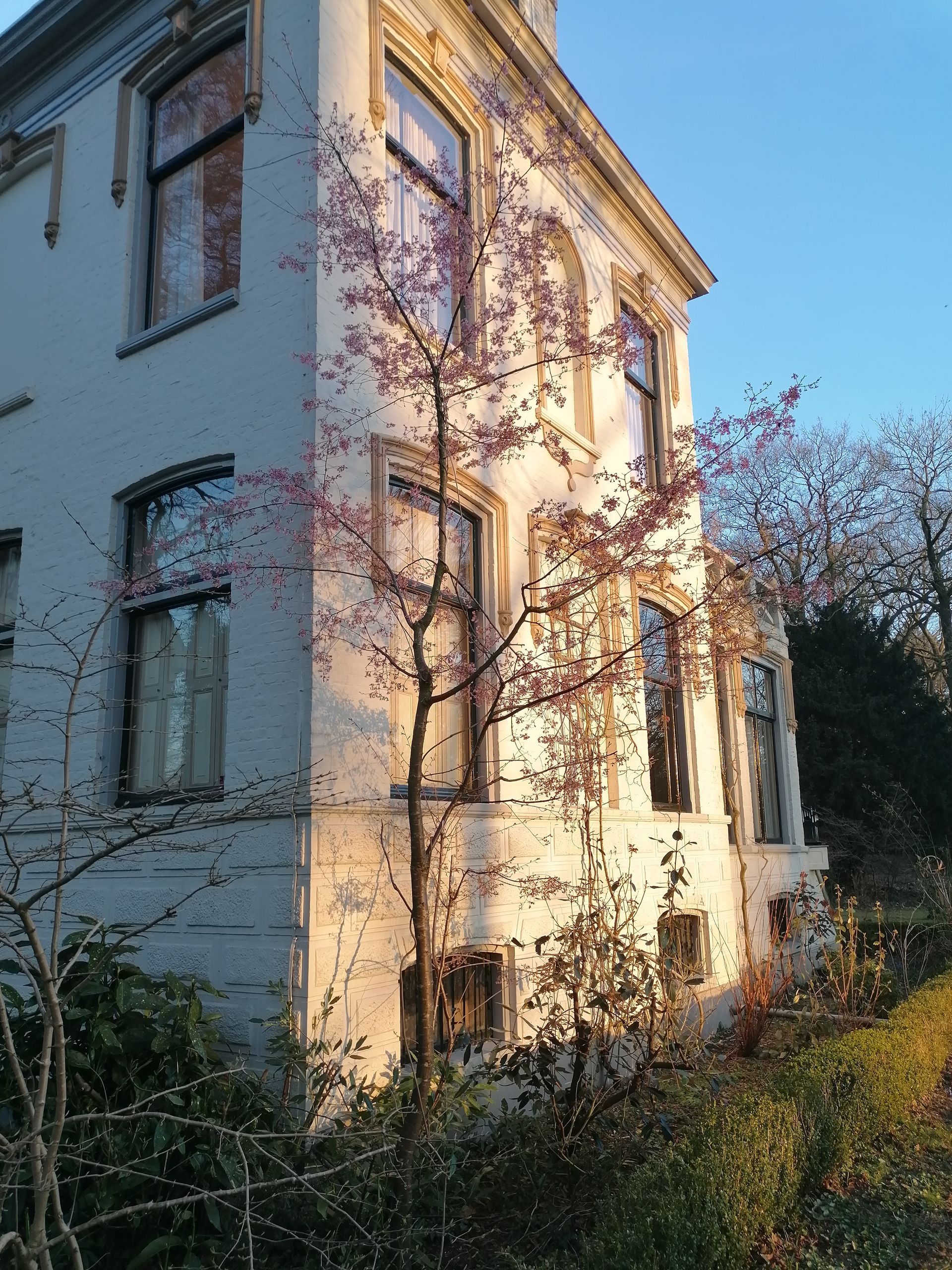 Exterieur Museum Vosbergen in de zomer