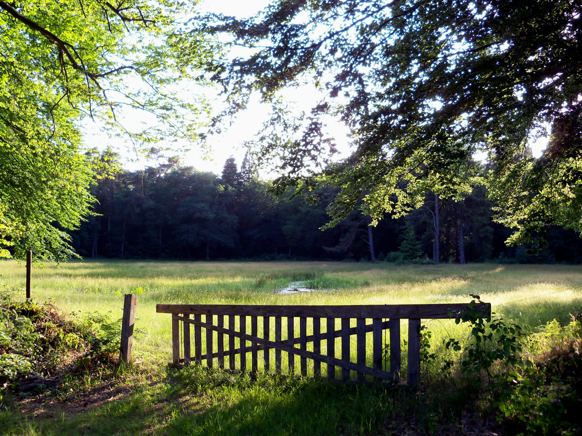 Een houten poort in een veld met bomen op de achtergrond