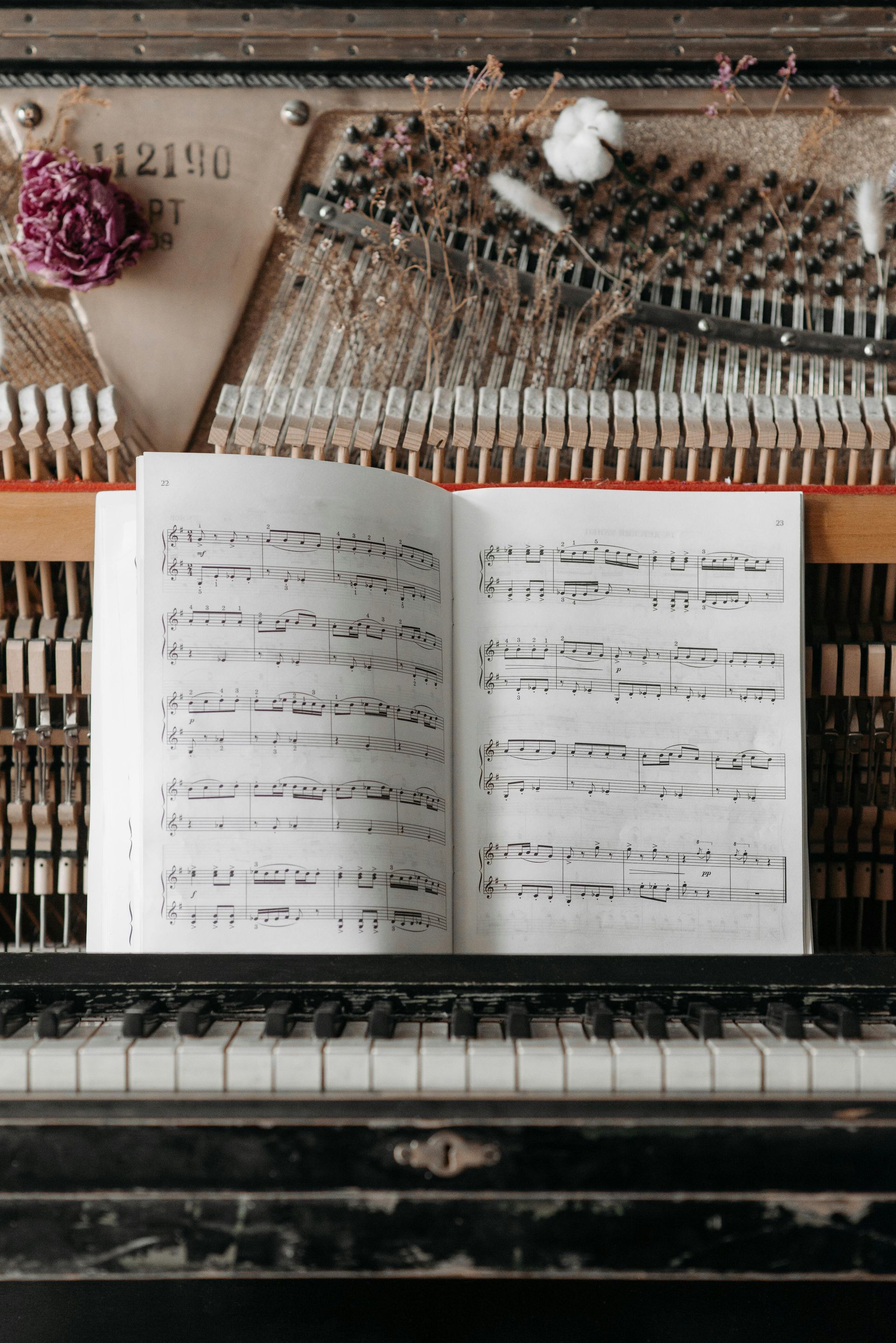 Open bladmuziek op pianotoetsen, snaren zichtbaar. Gedroogde bloemen liggen bovenaan.
