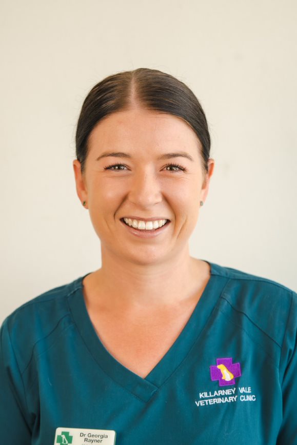 Our Team Killarney Vale Veterinary Clinic