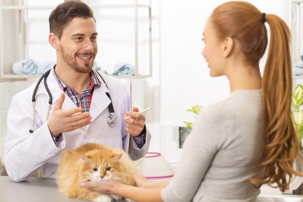 Vet Speaking To Pet Owner — Veterinary Services In Killarney Vale, NSW